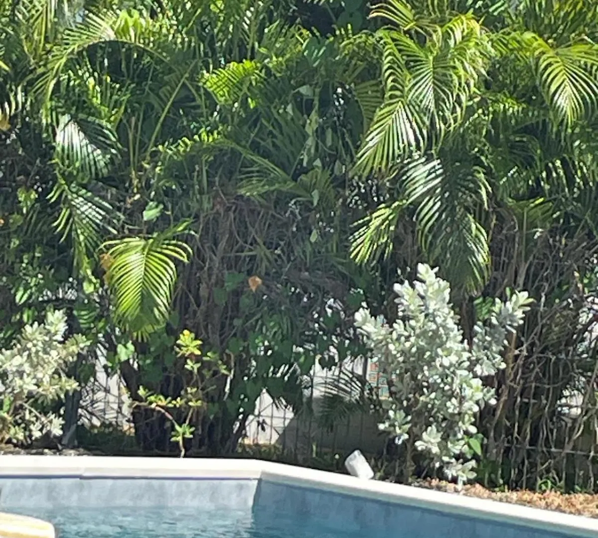 Villa Summertime Saint-François